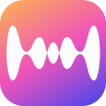 Deezer Music Converter