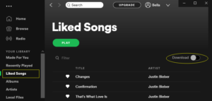 how to download music on spotify premium pc