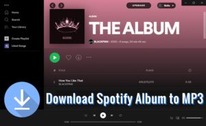 How to Download Spotify Album to MP3 in 5 Ways - Tunelf