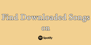 Find Downloaded Songs on Spotify? That's Easy! - Tunelf