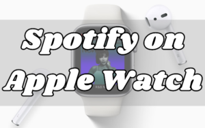 How to Play Spotify on Apple Watch without Phone Offline - Tunelf