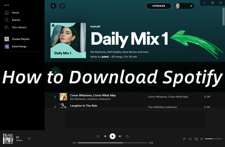 How To Download Your Daily Mix On Spotify Tunelf