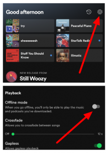 How to Fix Spotify Not Playing Downloaded Songs - Tunelf