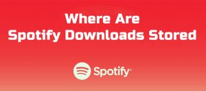 Where Are Spotify Downloads Stored on Your Device - Tunelf