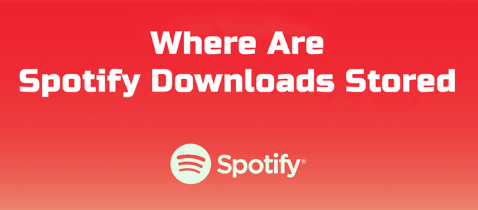 How to Download Spotify Music Online [100% Working] - Tunelf