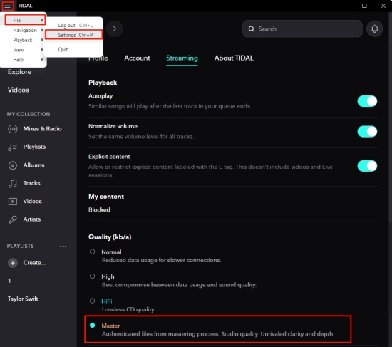 Add Tidal Music to Streamlabs OBS