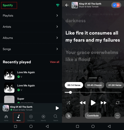 Spotify Lyrics Not Working? 7 Fixes! [2024] - Tunelf