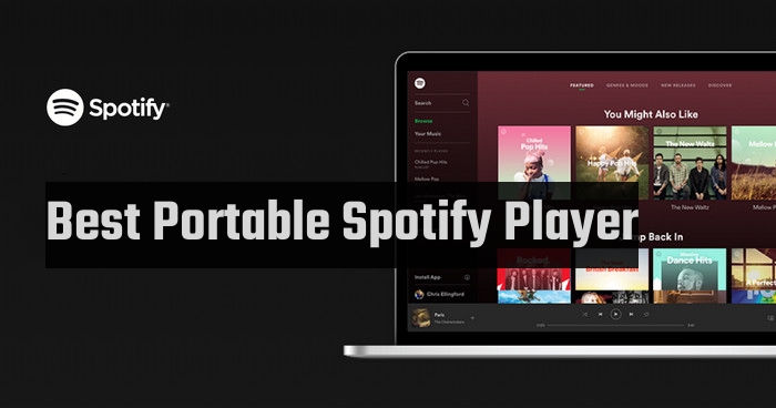 standalone spotify player