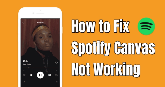 Best 9 Fixes to Spotify Canvas Not Working in 2024 - Tunelf